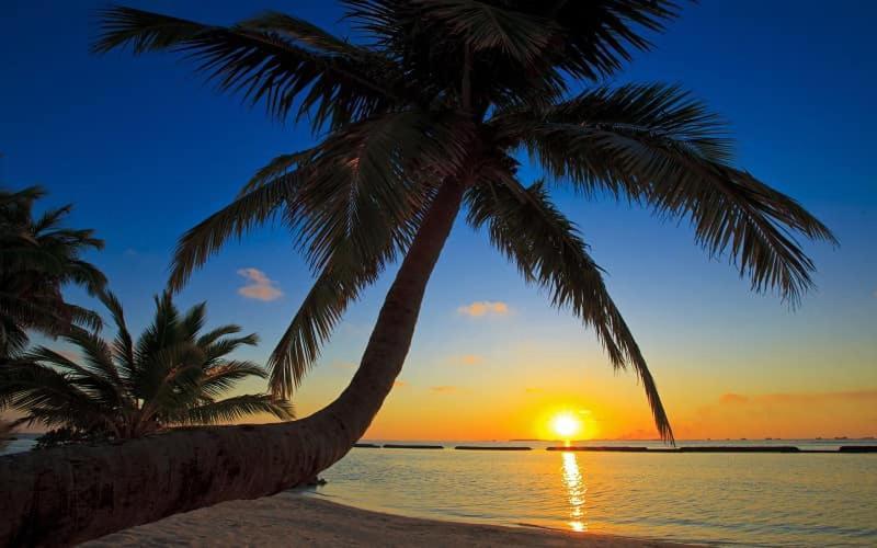 Hotel Elene Phu Quoc Esterno foto